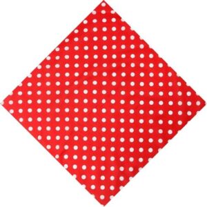 Bandana a Pois Rossi